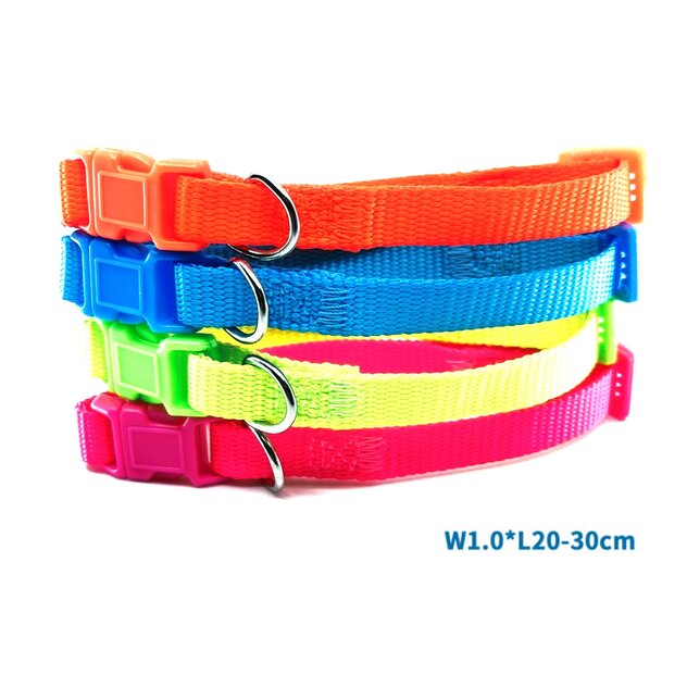 spoločný obrázok neonove obojky-